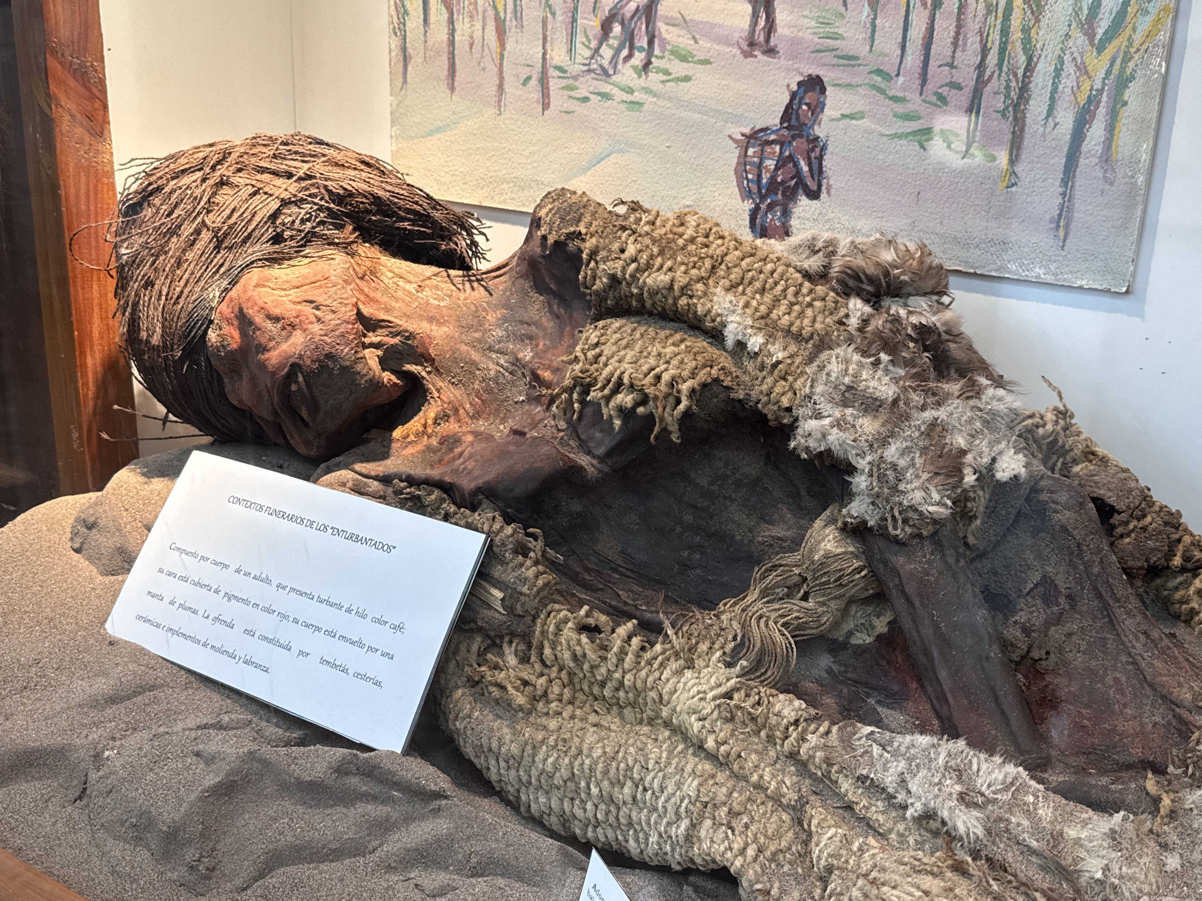 Exhibición del museo