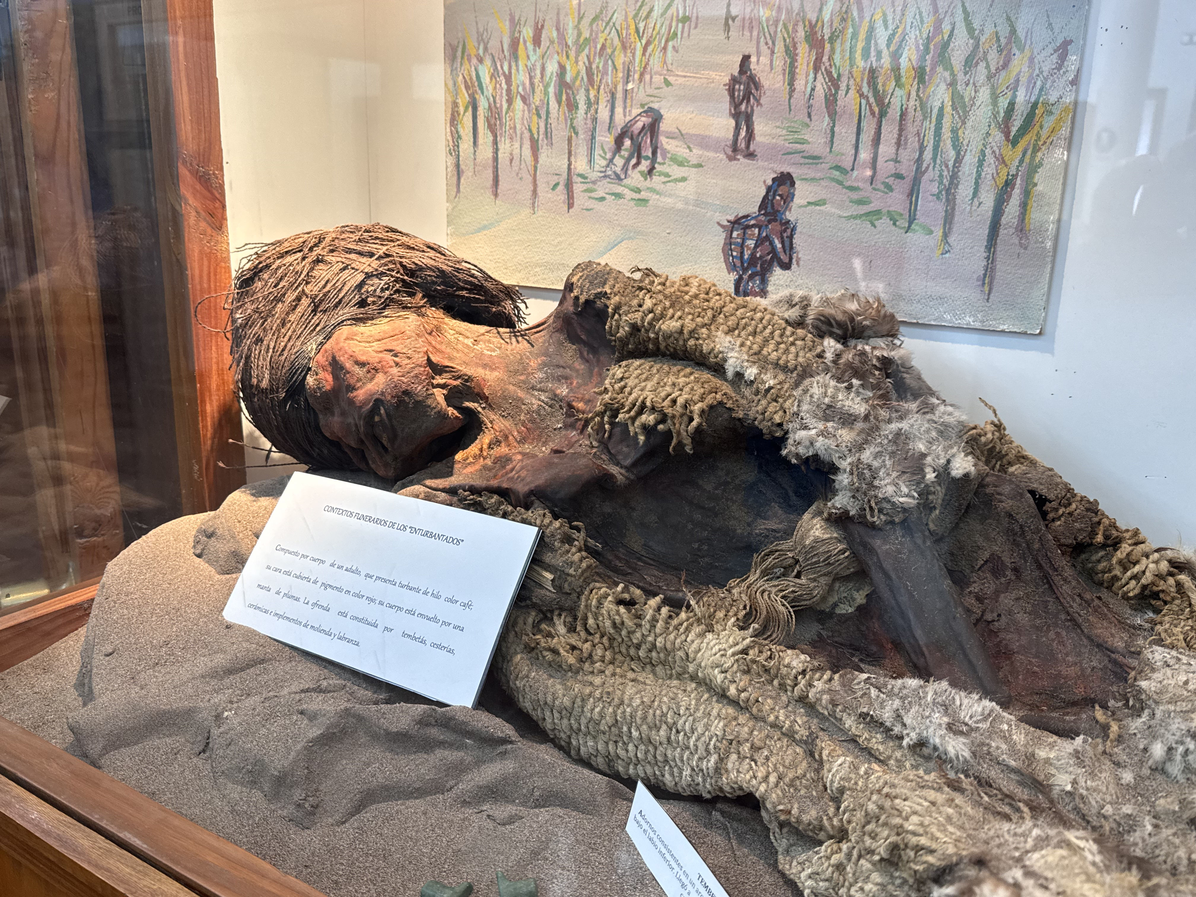 Exhibición del museo