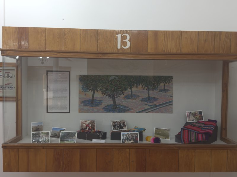 Vitrina 13