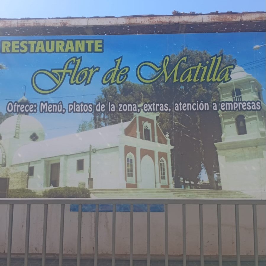 Foto de Flor de matilla