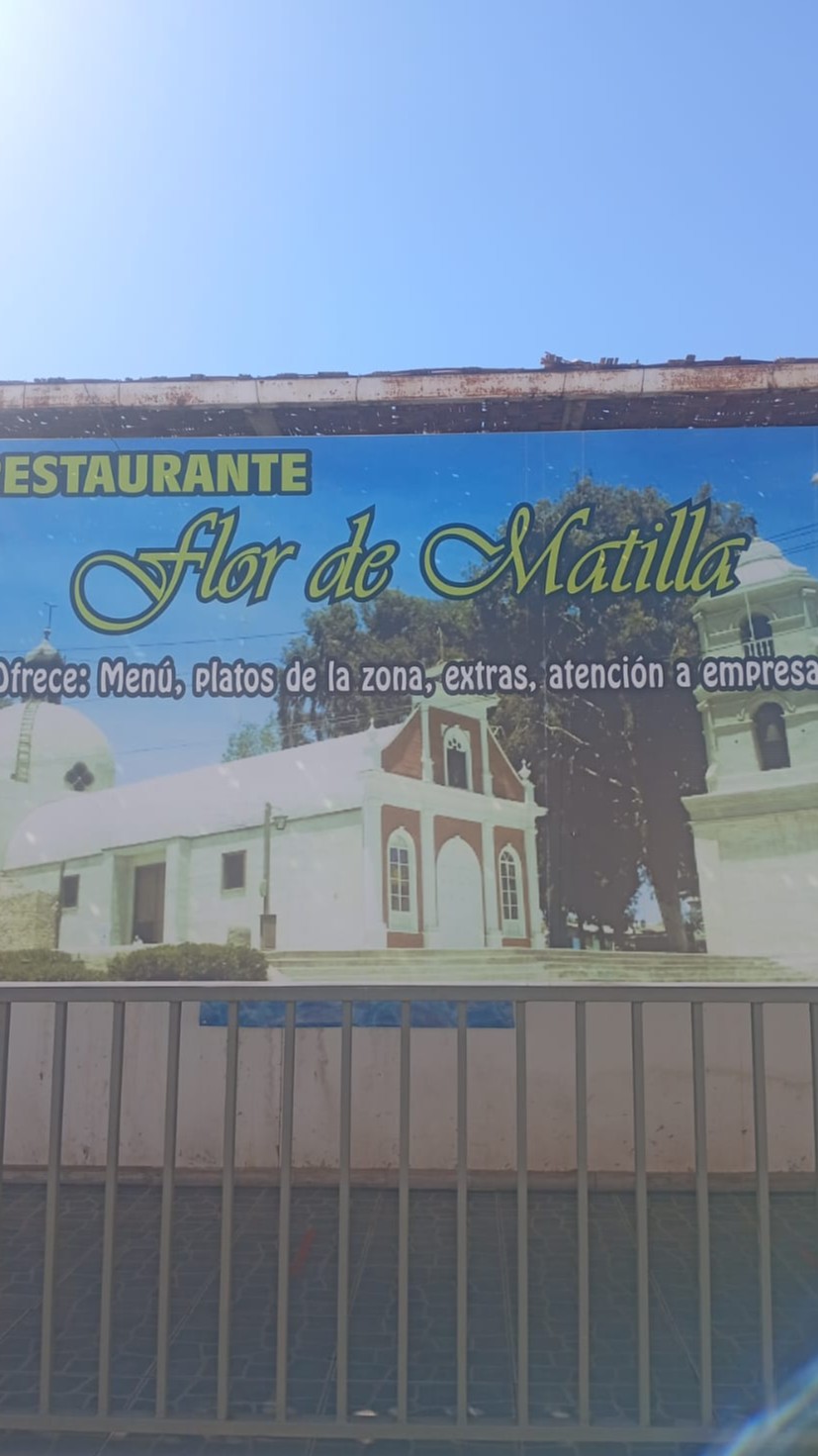 Foto de Flor de matilla