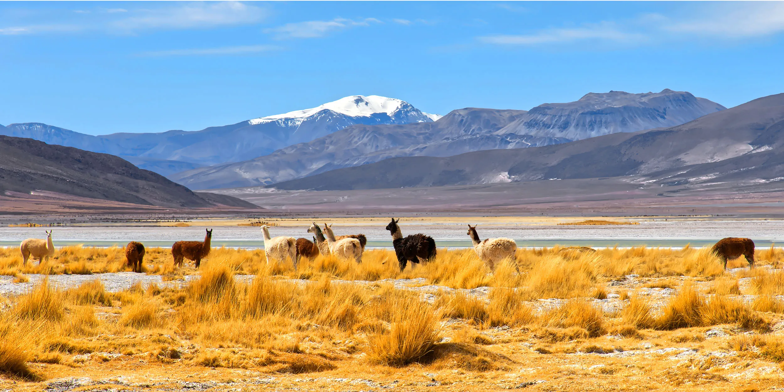 Reflection of mountains in Salar del Huasco