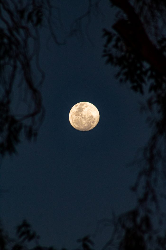 Cielo estrellado de Pica — fotografía 4