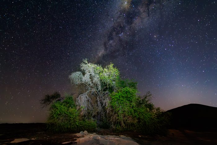 Cielo estrellado de Pica — fotografía 13