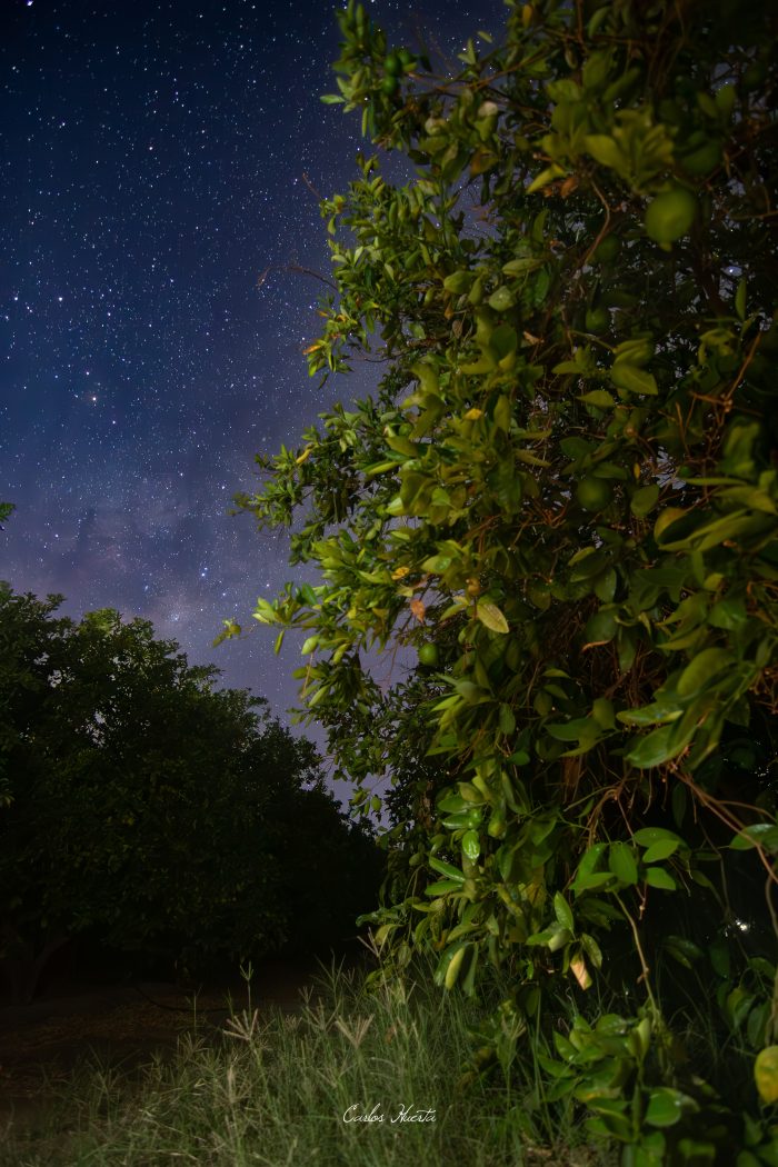 Cielo estrellado de Pica — fotografía 18