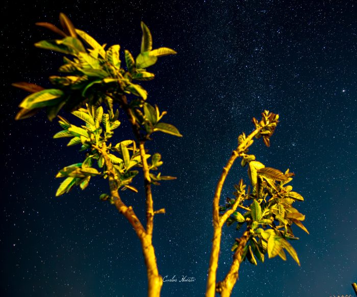 Cielo estrellado de Pica — fotografía 20